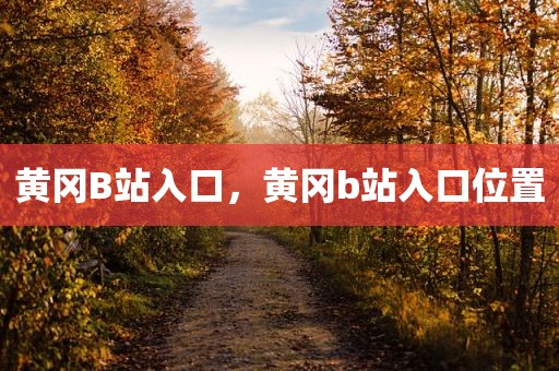 黄冈B站入口，黄冈b站入口位置