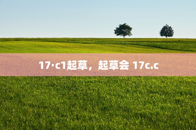 17·c1起草，起草会 17c.c