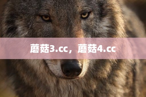 蘑菇3.㏄，蘑菇4.㏄
