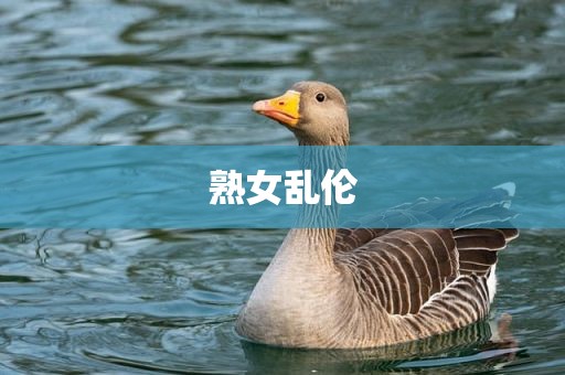 熟女乱伦