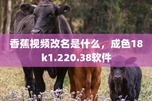 香蕉视频改名是什么，成色18k1.220.38软件
