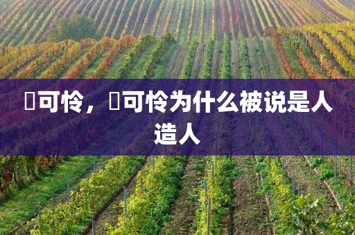楪可怜，楪可怜为什么被说是人造人
