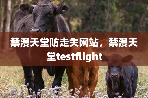 禁漫天堂防走失网站，禁漫天堂testflight