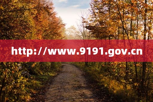 http://www.9191.gov.cn