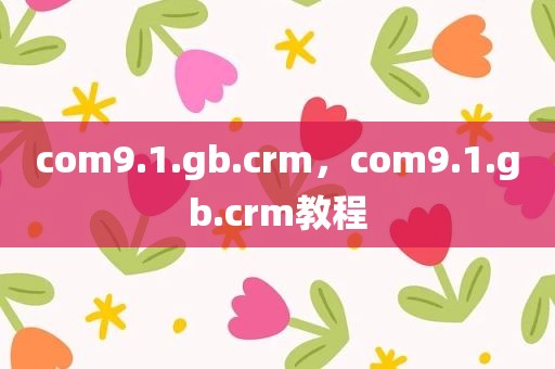 com9.1.gb.crm，com9.1.gb.crm教程