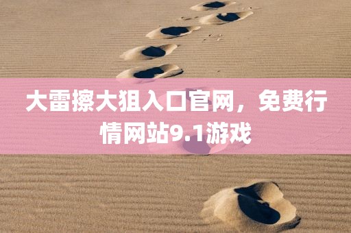 大雷擦大狙入口官网，免费行情网站9.1游戏
