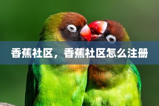 香蕉社区，香蕉社区怎么注册