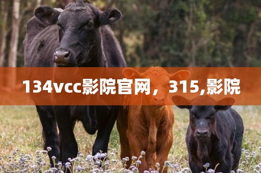 134vcc影院官网，315,影院