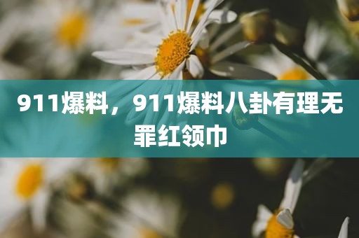 911爆料，911爆料八卦有理无罪红领巾