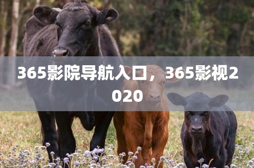 365影院导航入口，365影视2020