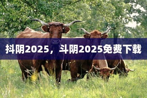 抖阴2025，斗阴2025免费下载