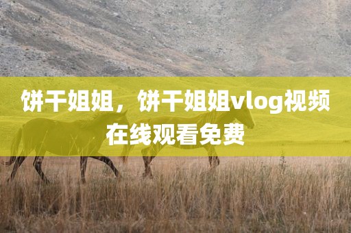 饼干姐姐，饼干姐姐vlog视频在线观看免费