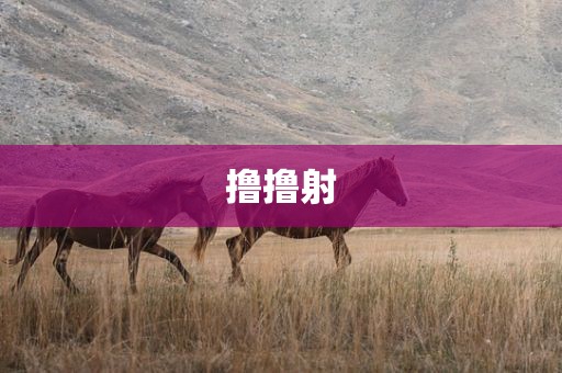 撸撸射