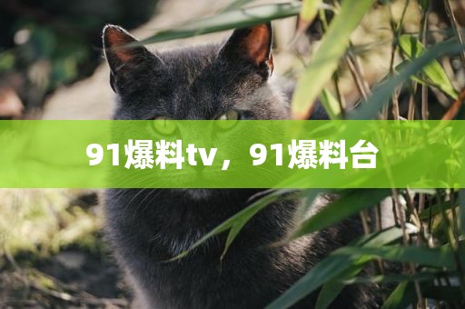 91爆料tv，91爆料台