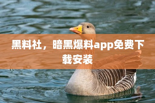 黑料社，暗黑爆料app免费下载安装