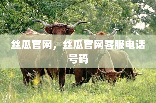丝瓜官网，丝瓜官网客服电话号码