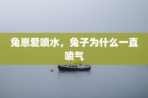 兔崽爱喷水，兔子为什么一直喷气