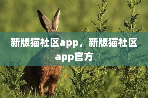 新版猫社区app，新版猫社区app官方