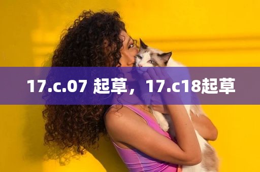 17.c.07 起草，17.c18起草