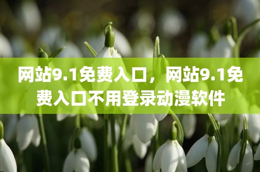 网站9.1免费入口，网站9.1免费入口不用登录动漫软件