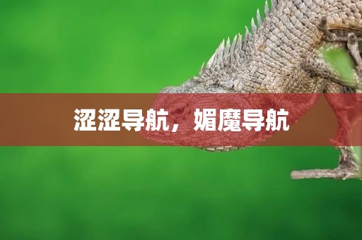 涩涩导航，媚魔导航
