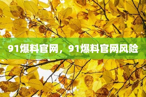 91爆料官网，91爆料官网风险