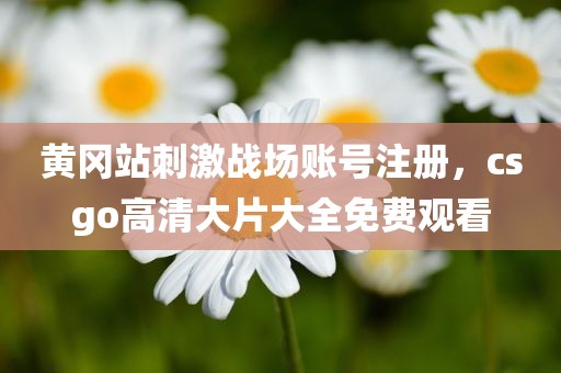 黄冈站刺激战场账号注册，csgo高清大片大全免费观看