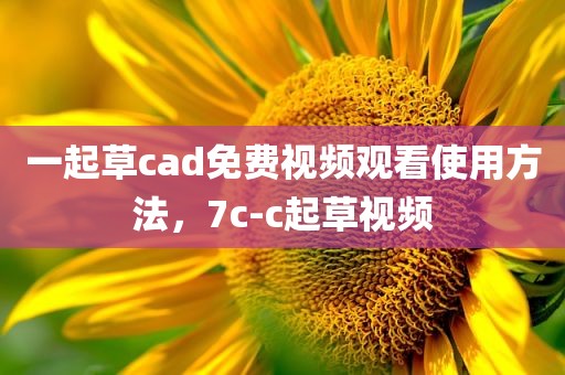 一起草cad免费视频观看使用方法，7c-c起草视频