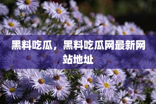 黑料吃瓜，黑料吃瓜网最新网站地址