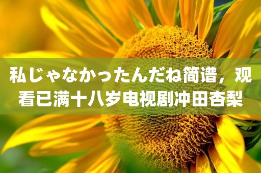 私じゃなかったんだね简谱，观看已满十八岁电视剧冲田杏梨