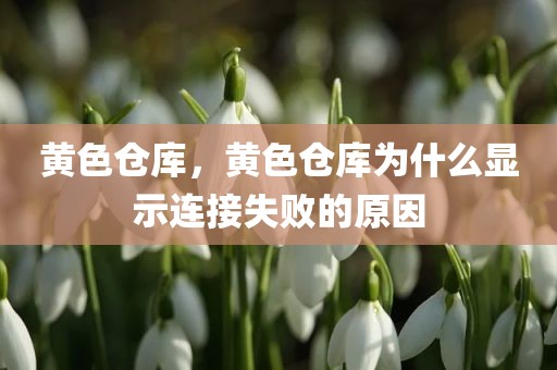 黄色仓库，黄色仓库为什么显示连接失败的原因