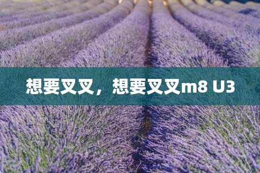 想要叉叉，想要叉叉m8 U3
