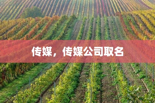 传媒，传媒公司取名