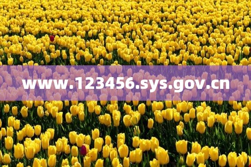 www.123456.sys.gov.cn