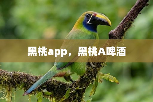 黑桃app，黑桃A啤酒