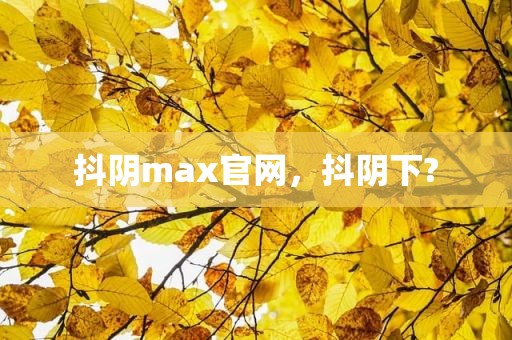 抖阴max官网，抖阴下?