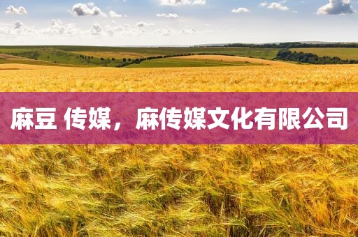 麻豆 传媒，麻传媒文化有限公司