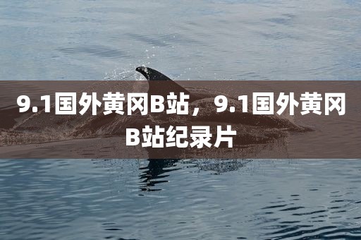 9.1国外黄冈B站，9.1国外黄冈B站纪录片