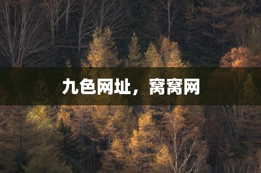 九色网址，窝窝网