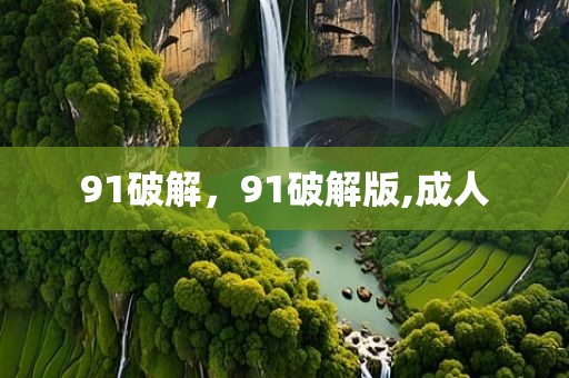 91破解，91破解版,成人