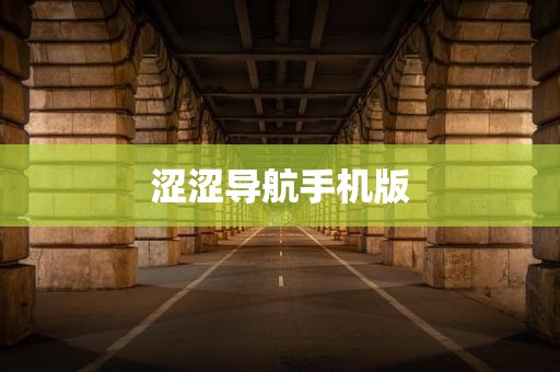 涩涩导航手机版