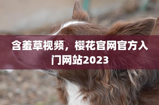 含羞草视频，樱花官网官方入门网站2023