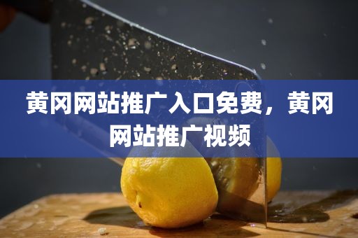 黄冈网站推广入口免费，黄冈网站推广视频