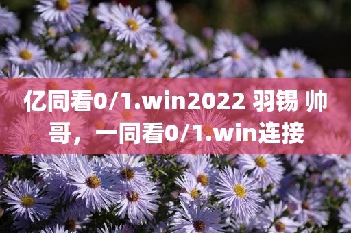 亿同看0/1.win2022 羽锡 帅哥，一同看0/1.win连接