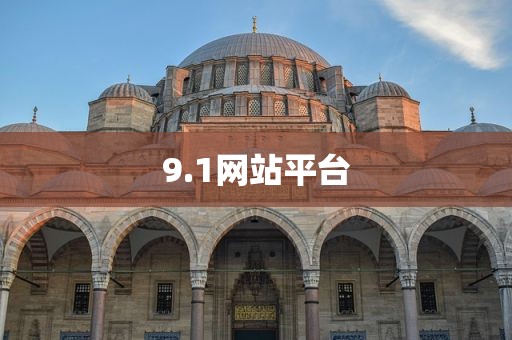 9.1网站平台