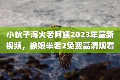 小伙子泻火老阿姨2023年最新视频，徐娘半老2免费高清观看