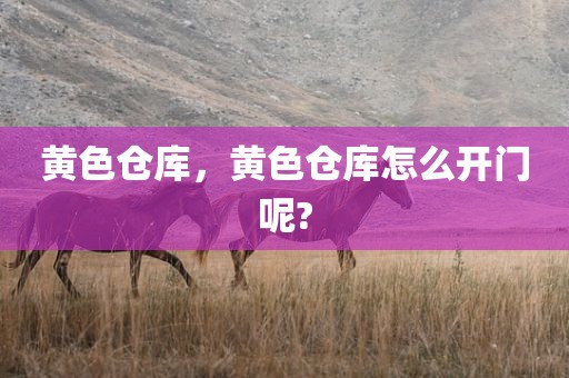 黄色仓库，黄色仓库怎么开门呢?