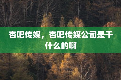 杏吧传媒，杏吧传媒公司是干什么的啊