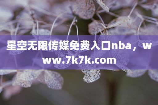 星空无限传媒免费入口nba，www.7k7k.com