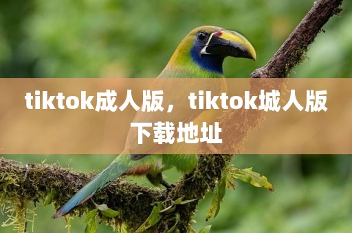 tiktok成人版，tiktok城人版下载地址